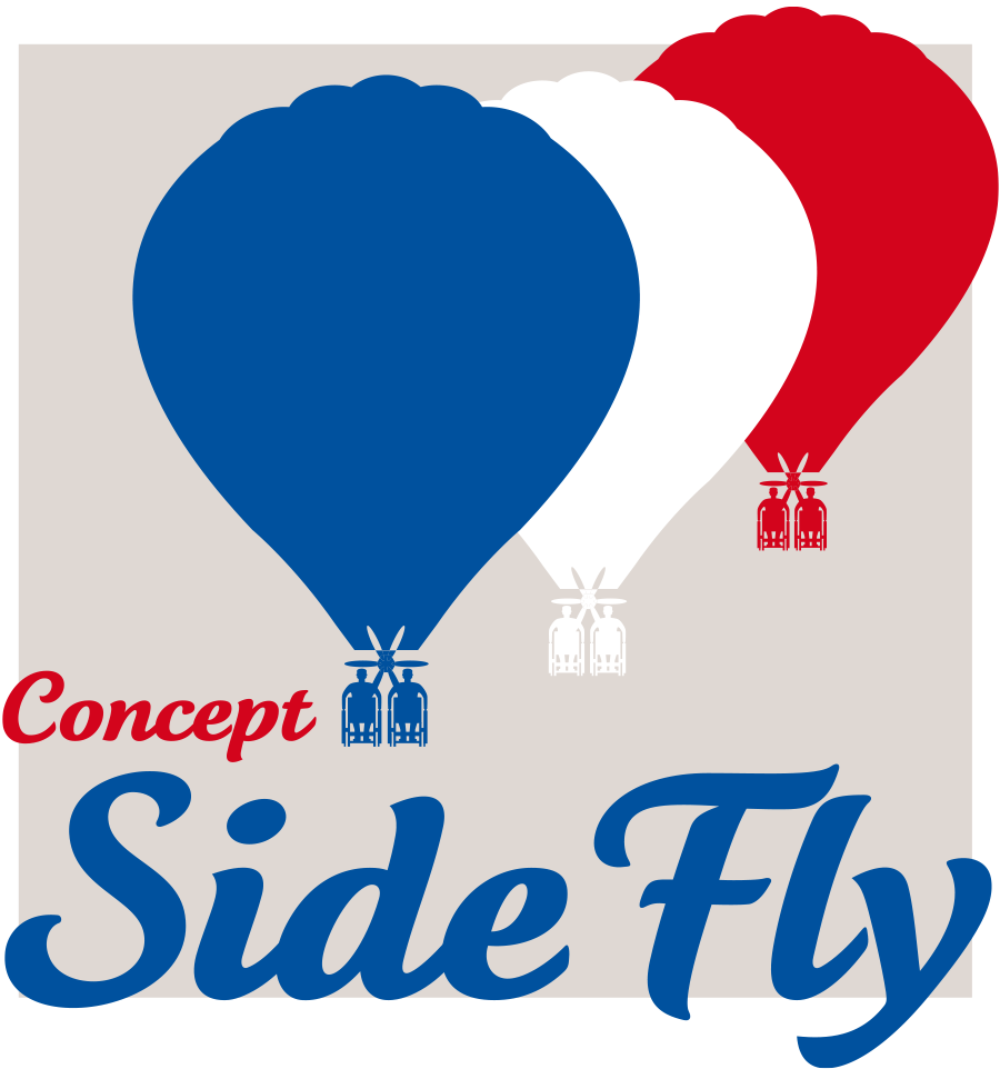 logo concept Side Fly
